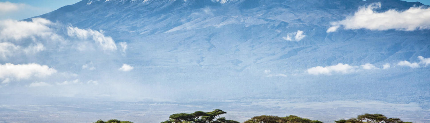 Wyprawa na Kilimandżaro